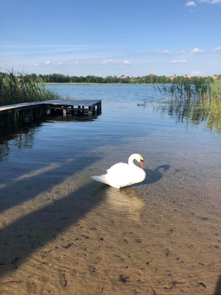 Domek Letniskowy Krejwince Bagian luar foto